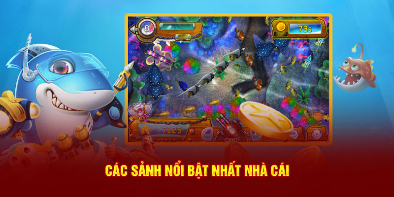 Các sảnh nổi bật nhất nhà cái