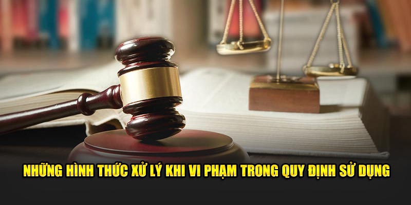 Những hình thức xử lý khi vi phạm trong quy định sử dụng