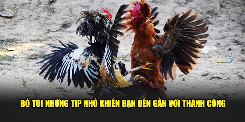 Bỏ túi những tip nhỏ khiến bạn đến gần với thành công