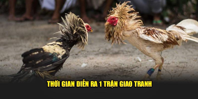 Thời gian diễn ra 1 trận giao tranh 